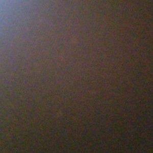 Meet your Posher, Maya